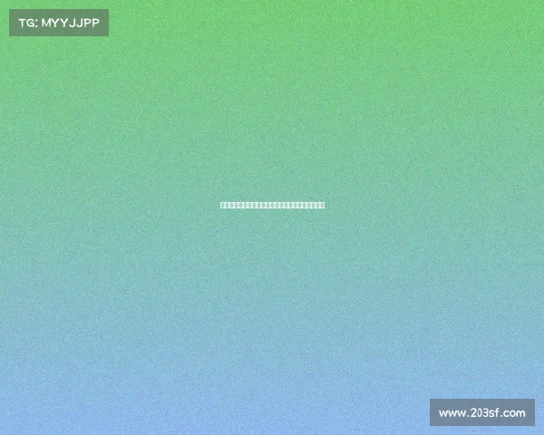 网球比赛用具全解析：从球拍到球场设施的全面指南